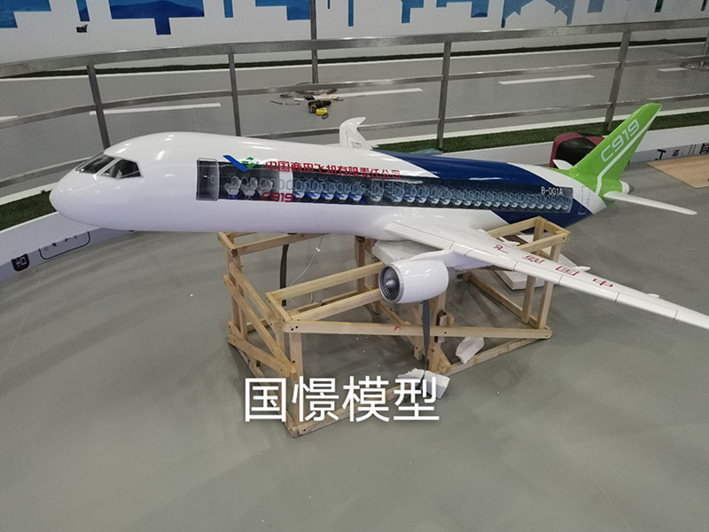 巴彦卓尔飞机模型