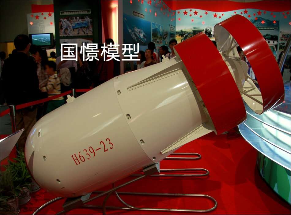 巴彦卓尔军事模型