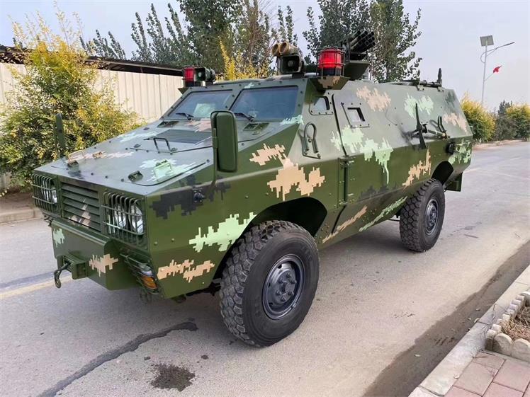 巴彦卓尔军事模型